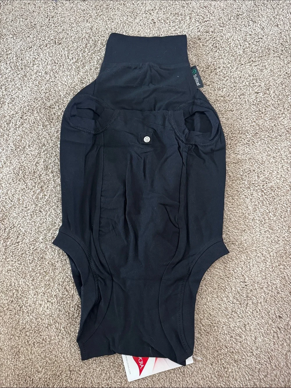 N/A suitical dog